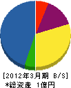 富士プロシステム 貸借対照表 2012年3月期