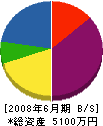 大翔 貸借対照表 2008年6月期
