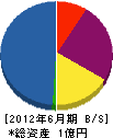 武村建設 貸借対照表 2012年6月期