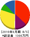 日本造園研究所 貸借対照表 2010年6月期
