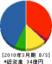 日本ポリエステル 貸借対照表 2010年3月期