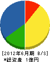 田中運建設 貸借対照表 2012年6月期