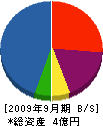 天野組 貸借対照表 2009年9月期