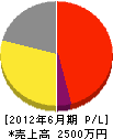 琉球防災センター 損益計算書 2012年6月期
