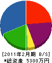 三栄興業 貸借対照表 2011年2月期