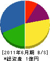 手塚建材興業 貸借対照表 2011年6月期