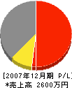 石川塗装 損益計算書 2007年12月期