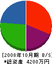 栄伸企画 貸借対照表 2008年10月期