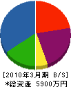 堀口電気商会 貸借対照表 2010年3月期
