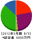 井﨑工業 貸借対照表 2012年3月期