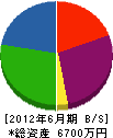 中島建設 貸借対照表 2012年6月期