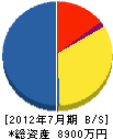 鶴土木興業 貸借対照表 2012年7月期