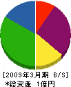 伸栄工業 貸借対照表 2009年3月期
