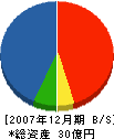 弘栄設備工業 貸借対照表 2007年12月期
