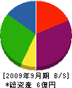 大堀 貸借対照表 2009年9月期