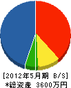 中電社 貸借対照表 2012年5月期