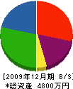 金子設備 貸借対照表 2009年12月期