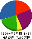 成ヶ澤 貸借対照表 2009年5月期