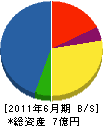 柴田建設 貸借対照表 2011年6月期