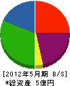 湘南建設 貸借対照表 2012年5月期