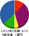 日本レイダン 貸借対照表 2012年9月期