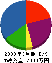 ダイシン工業 貸借対照表 2009年3月期