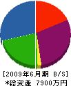 寺尾工務店 貸借対照表 2009年6月期