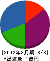 藤本電気商会 貸借対照表 2012年9月期