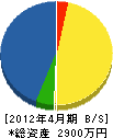 藤ノ木電機 貸借対照表 2012年4月期
