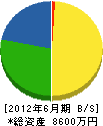 玉清組 貸借対照表 2012年6月期