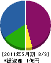 藤木電気工業 貸借対照表 2011年5月期