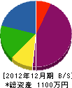 片山電気工業所 貸借対照表 2012年12月期