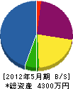 徳川総業 貸借対照表 2012年5月期