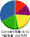 ロードエンター宮崎 貸借対照表 2010年5月期