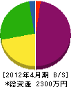 隼人建設 貸借対照表 2012年4月期
