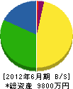 南成土木 貸借対照表 2012年6月期