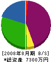木村工業 貸借対照表 2008年8月期