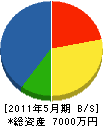 小林でんき 貸借対照表 2011年5月期