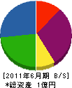 永井組 貸借対照表 2011年6月期