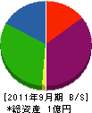 四国テクノサービス 貸借対照表 2011年9月期