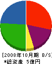 大日組 貸借対照表 2008年10月期