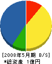 杵藤舗道 貸借対照表 2008年5月期