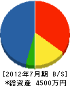 藤沼電気商会 貸借対照表 2012年7月期