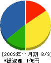 田中組 貸借対照表 2009年11月期