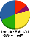 川元組 貸借対照表 2012年5月期