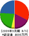 ケーエムティ 貸借対照表 2009年9月期