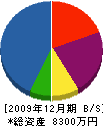 武田燃料 貸借対照表 2009年12月期
