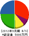 佐藤塗装工業 貸借対照表 2012年9月期
