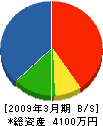 瀬野芳雄商店 貸借対照表 2009年3月期
