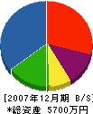 片山建築 貸借対照表 2007年12月期